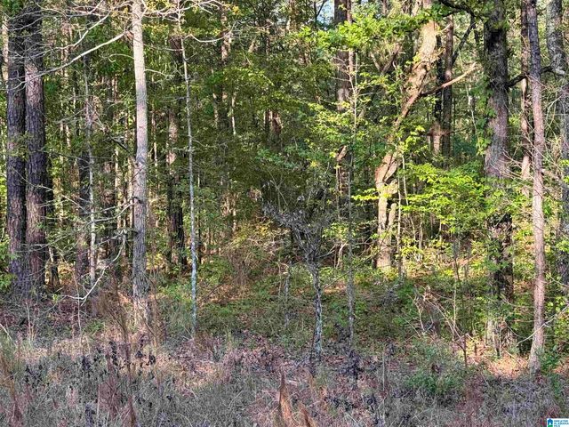 0 PINEY WOODS ROAD, Vincent, AL 35178