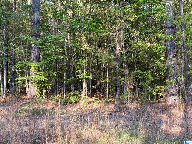 0 PINEY WOODS ROAD, Vincent, AL 35178