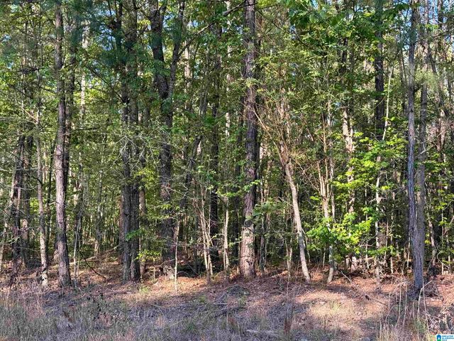0 PINEY WOODS ROAD, Vincent, AL 35178