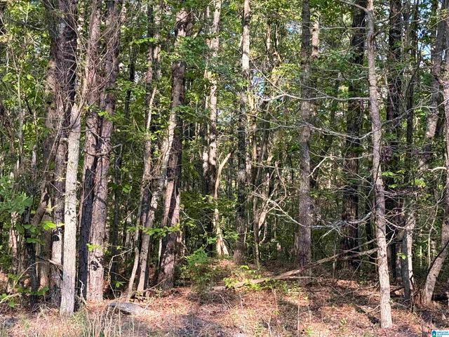 0 PINEY WOODS ROAD, Vincent, AL 35178