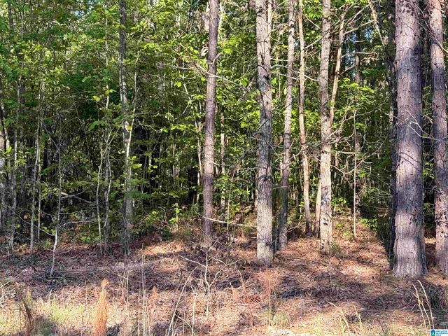 0 PINEY WOODS ROAD, Vincent, AL 35178