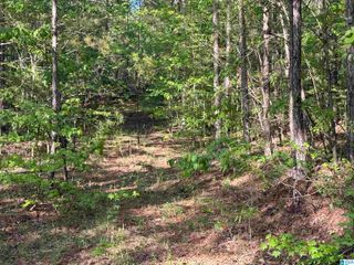 0 PINEY WOODS ROAD, Vincent, AL 35178