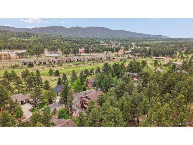 1350 Masters Dr, Woodland Park, CO 80863