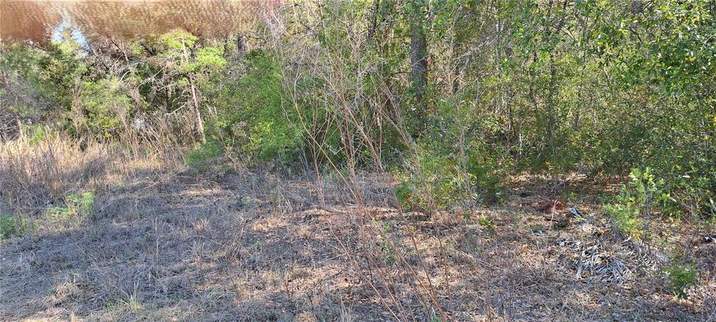 3844 E CRYSTAL LANE, Inverness, FL 34452