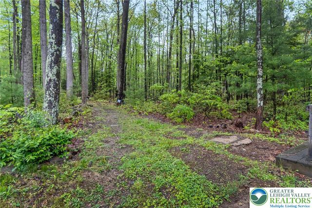 9223 North Loop Road, Washington Twp, PA 18080