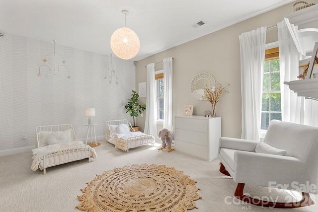 4196 Crepe Ridge Drive, Denver, NC 28037