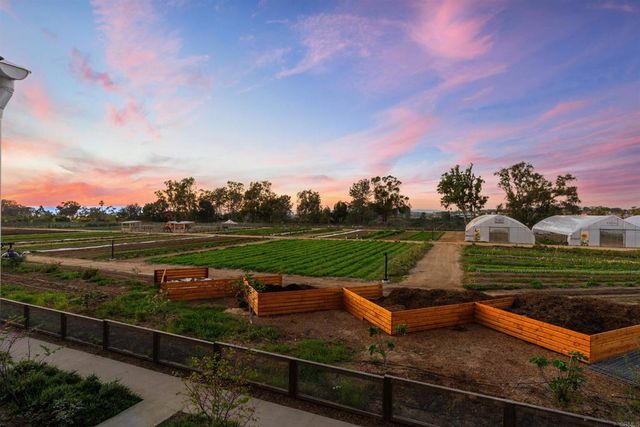 1044 Palmaria Court, Encinitas, CA 92024