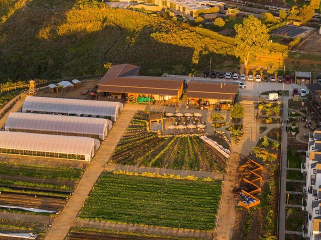 1044 Palmaria Court, Encinitas, CA 92024