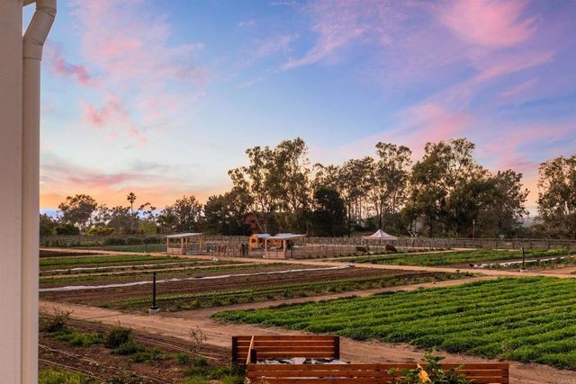 1044 Palmaria Court, Encinitas, CA 92024