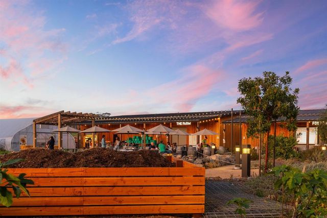 1044 Palmaria Court, Encinitas, CA 92024