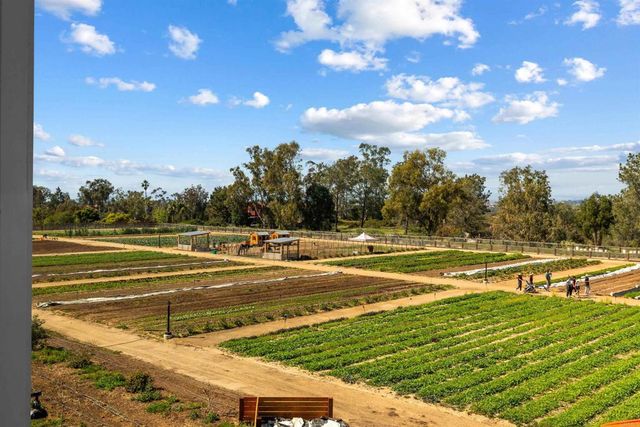 1044 Palmaria Court, Encinitas, CA 92024