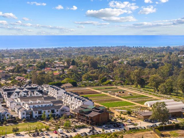 1044 Palmaria Court, Encinitas, CA 92024