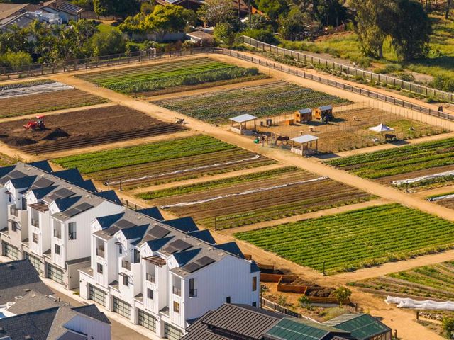 1044 Palmaria Court, Encinitas, CA 92024