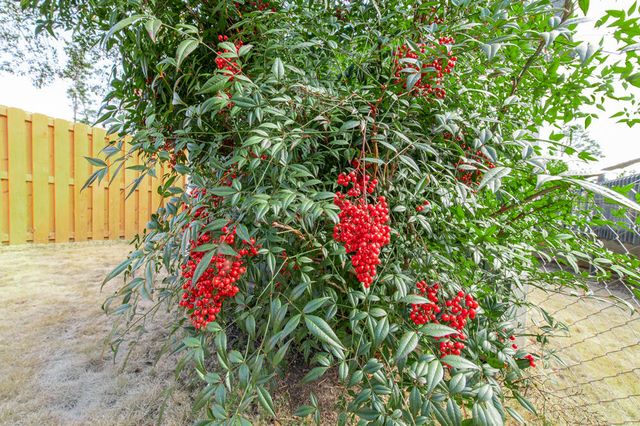 3215 Colonial Drive, Aiken, SC 29801