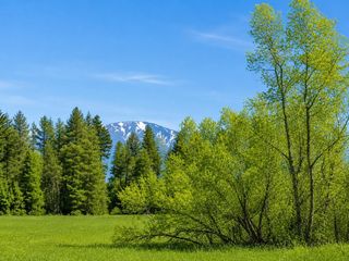 413XX N Short Rd, Deer Park, WA 99006