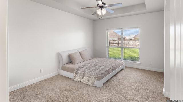 17634 Hoods Ridge Dr, Prairieville, LA 70769