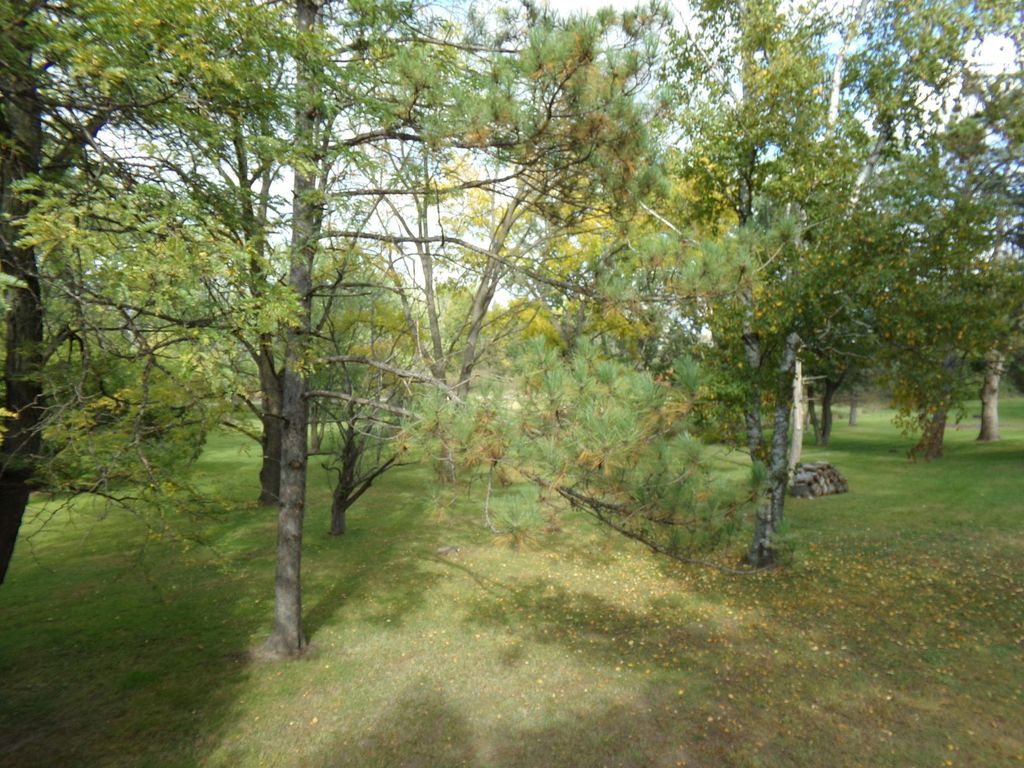 18323 Elmcrest Avenue N, Forest Lake, MN 55025 — photo 3