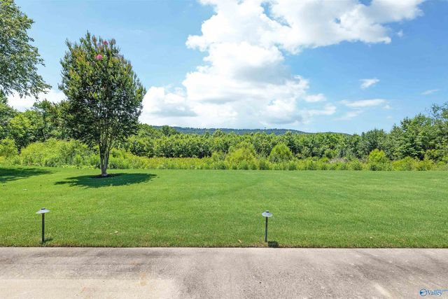 2516 Caldwell Park Court SE, Owens Cross Roads, AL 35763