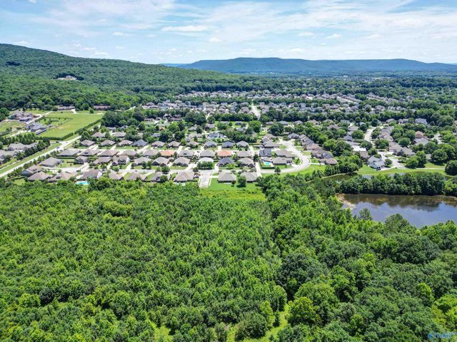 2516 Caldwell Park Court SE, Owens Cross Roads, AL 35763
