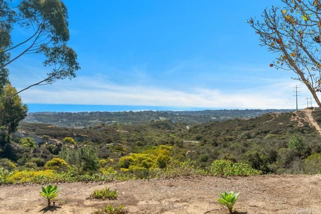 245 Fairlee Lane, Encinitas, CA 92024