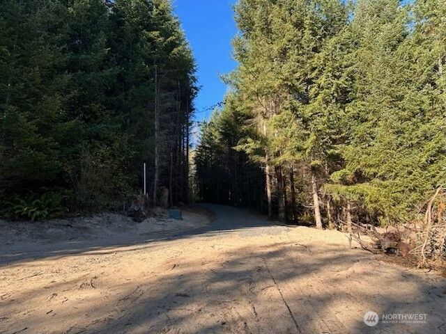 0 Misty Hill Drive #1 & 2, Toutle, WA 98649