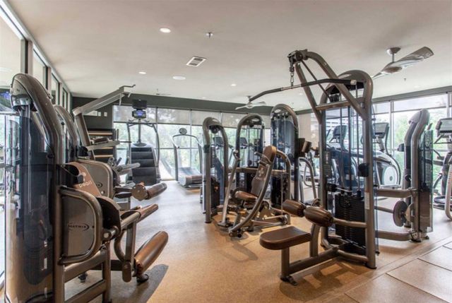 3788 Richmond Avenue 1241, Houston, TX 77046