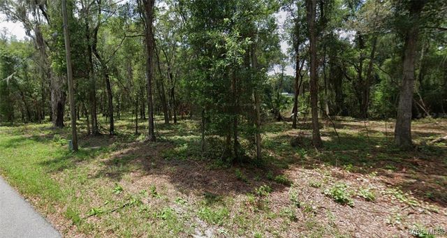 1751 E Zyrian Place, Hernando, FL 34442