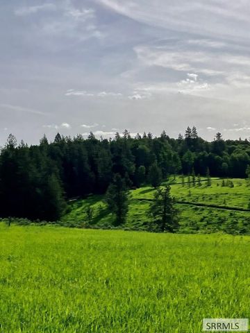 1656 Shadow Loop South, Ashton, ID 83420