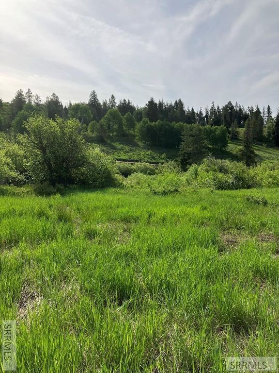 Image 24 of property listing at 1656 Shadow Loop South, Ashton, ID 83420