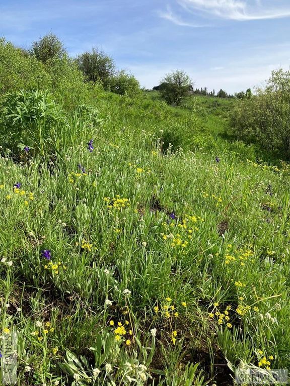 Image 26 of property listing at 1656 Shadow Loop South, Ashton, ID 83420