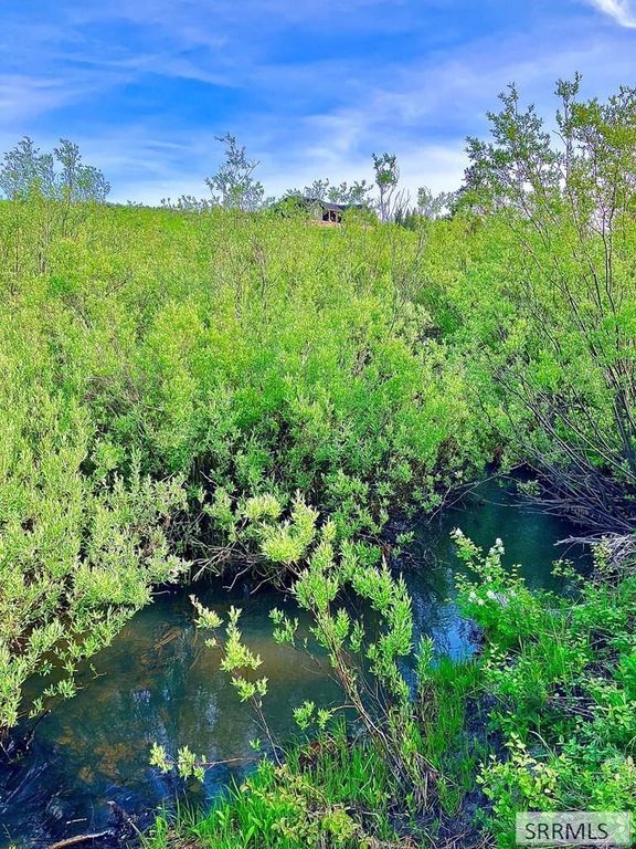 Image 28 of property listing at 1656 Shadow Loop South, Ashton, ID 83420