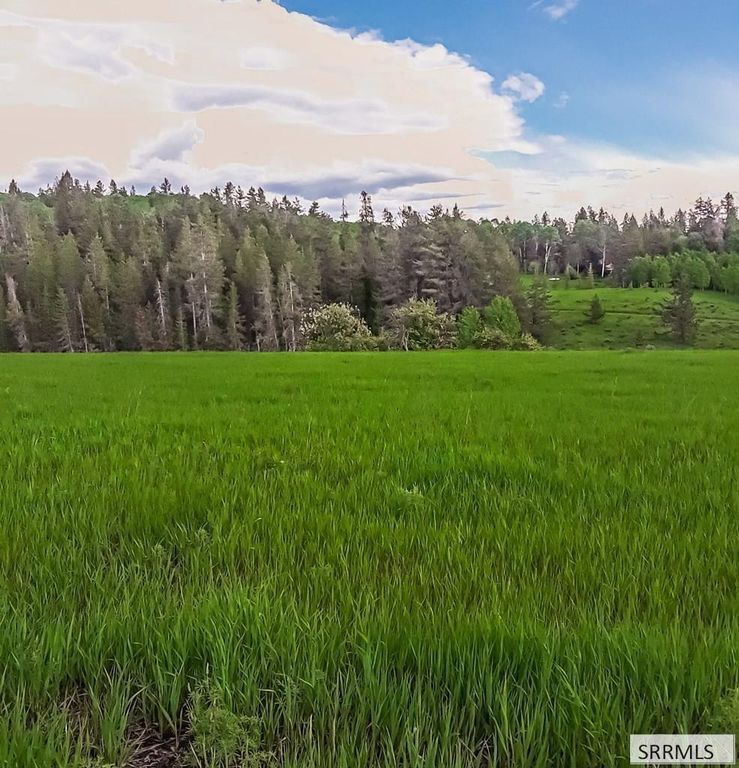 Image 4 of property listing at 1656 Shadow Loop South, Ashton, ID 83420