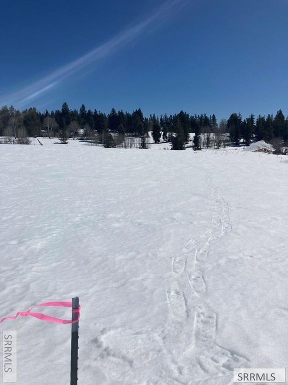 Image 7 of property listing at 1656 Shadow Loop South, Ashton, ID 83420