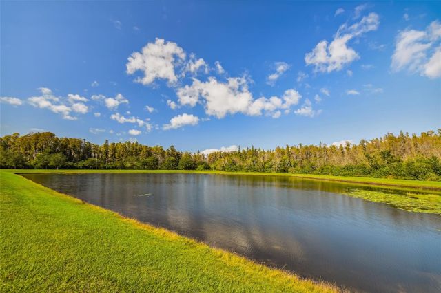 19413 SWEET GRASS WAY, Lutz, FL 33558