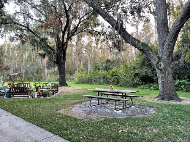 1761 CUPECOY CIRCLE 1, Lutz, FL 33558