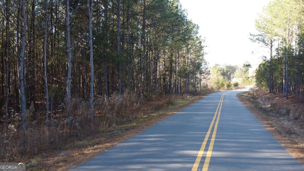 0 VFW Rd. & Market Centre Drive, Cornelia, GA 30531 — photo 3
