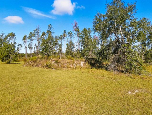 641 SE Sequoyah Trail, Lee, FL 32059