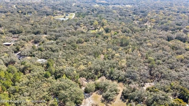 0 Ozark Drive, Hudson, FL 34667
