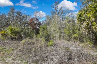 0 Ozark Drive, Hudson, FL 34667