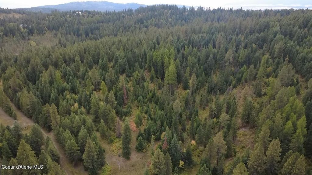 NKA HWY 95, Plummer, ID 83851 photo 2