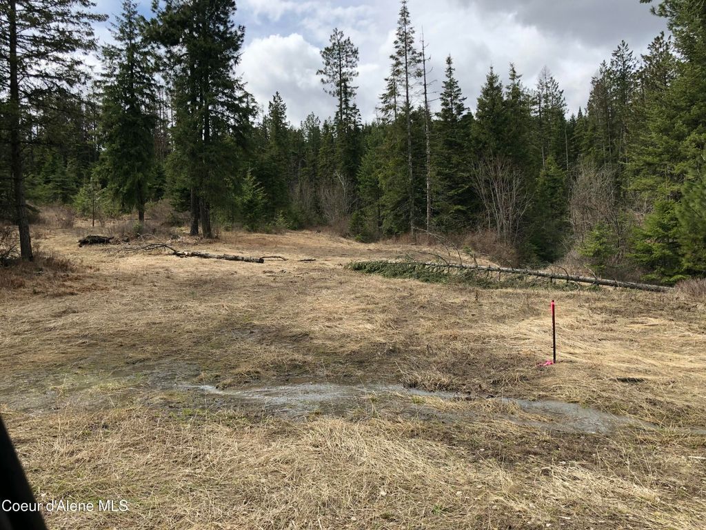 NKA HWY 95, Plummer, ID 83851 photo 3