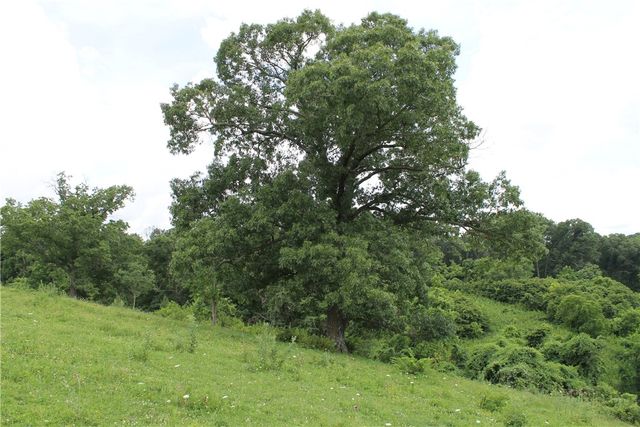 12502 Slaughter Pen Road, Bentonville, AR 72712