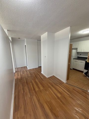 5100 N Marine Drive 3H, Chicago, IL 60640