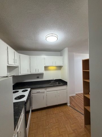 5100 N Marine Drive 3H, Chicago, IL 60640