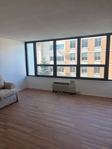 5100 N Marine Drive 3H, Chicago, IL 60640