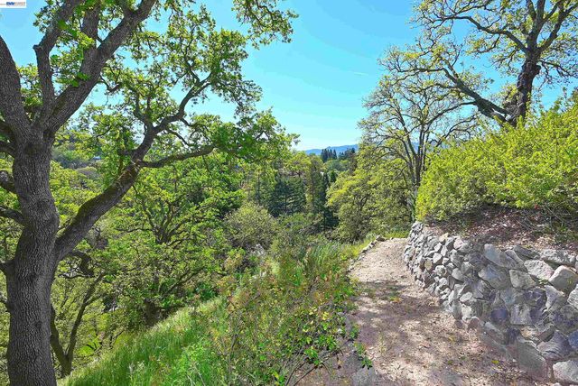 16 Ardendale Ct, Alamo, CA 94507