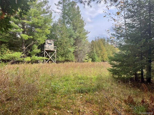 2446 Spayde Road, Charlevoix, MI 49720