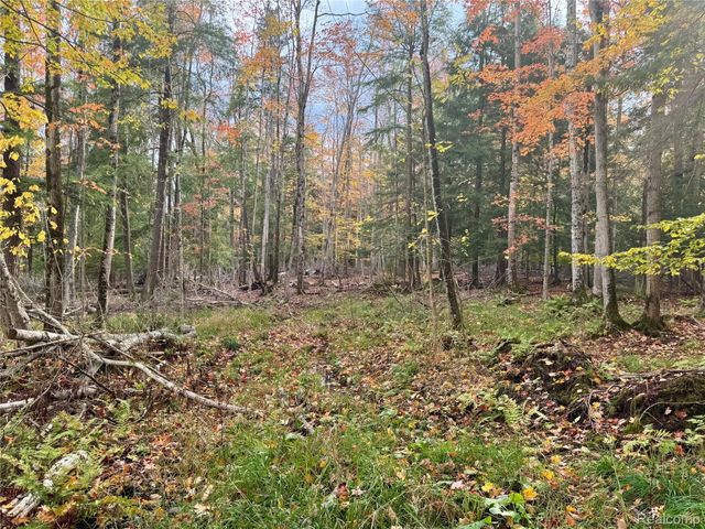 2446 Spayde Road, Charlevoix, MI 49720