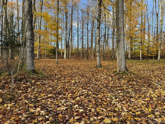 2446 Spayde Road, Charlevoix, MI 49720