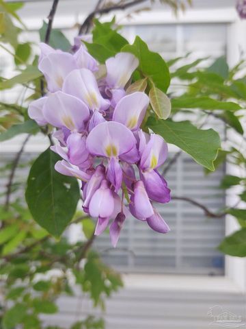 6351 Cottage Woods Dr, Milton, FL 32570